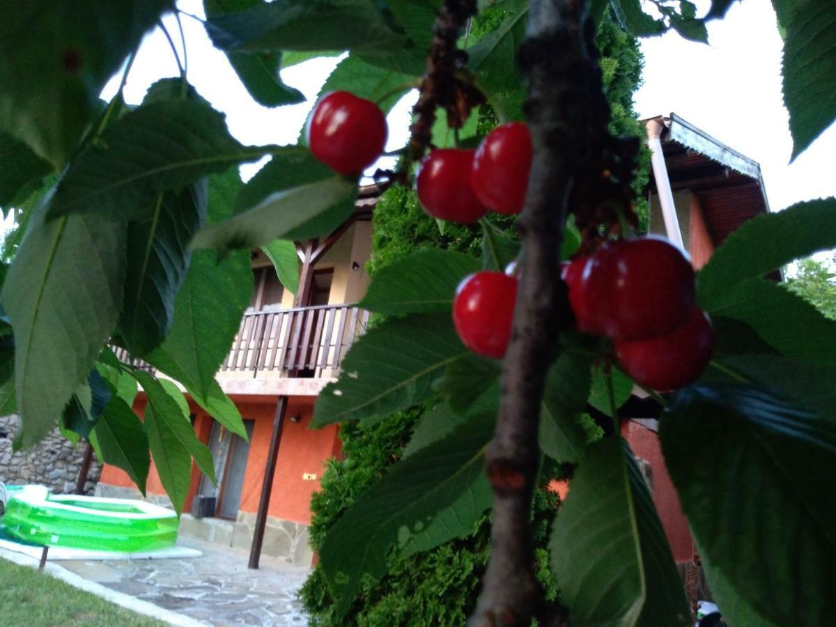 Villa Sunset Hause Warna Exterior foto